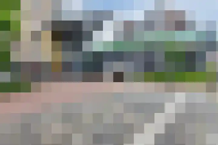 Vurehout 329 Zaandam thumbnail 42