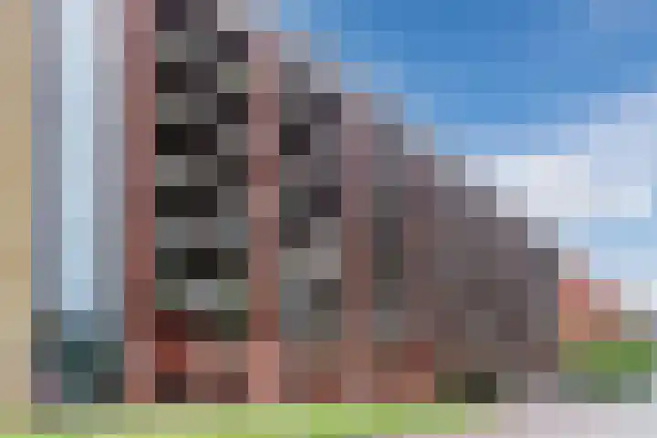 Vurehout 329 Zaandam thumbnail 6