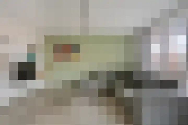 Vurehout 343 Zaandam thumbnail 10