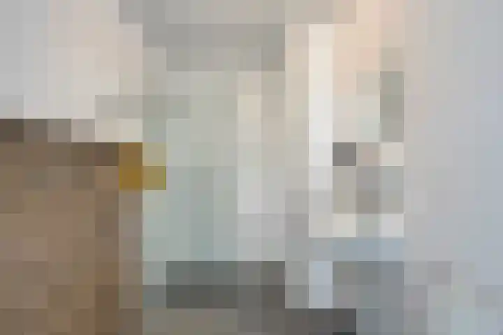 Vurehout 343 Zaandam thumbnail 23