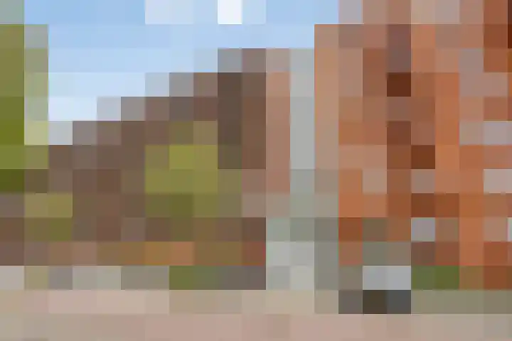 Vurehout 343 Zaandam thumbnail 29