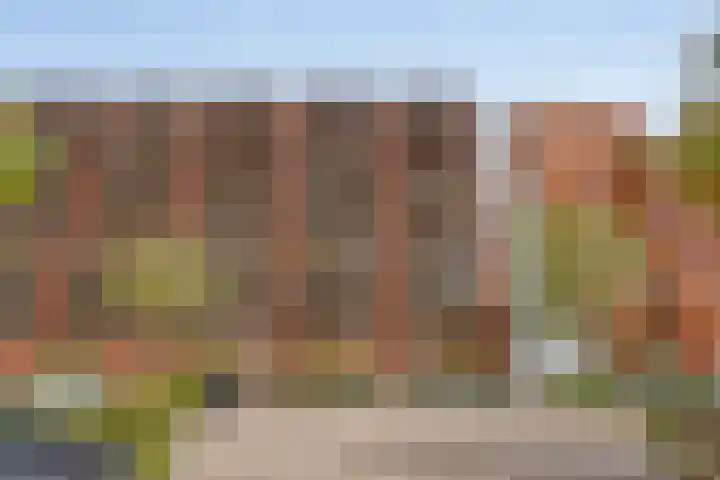 Vurehout 343 Zaandam thumbnail 30