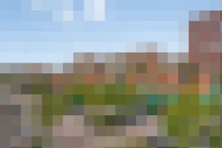 Vurehout 343 Zaandam thumbnail 31