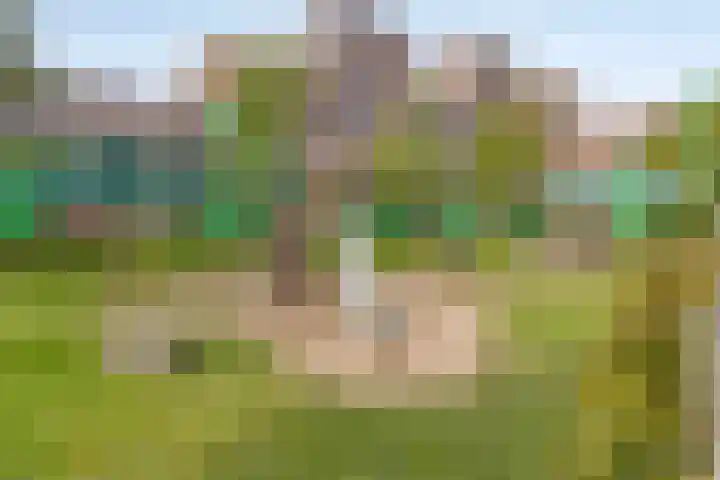 Vurehout 343 Zaandam thumbnail 32