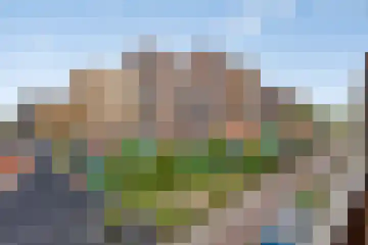Vurehout 343 Zaandam thumbnail 33