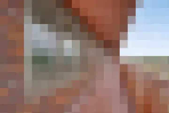 Vurehout 343 Zaandam thumbnail 6