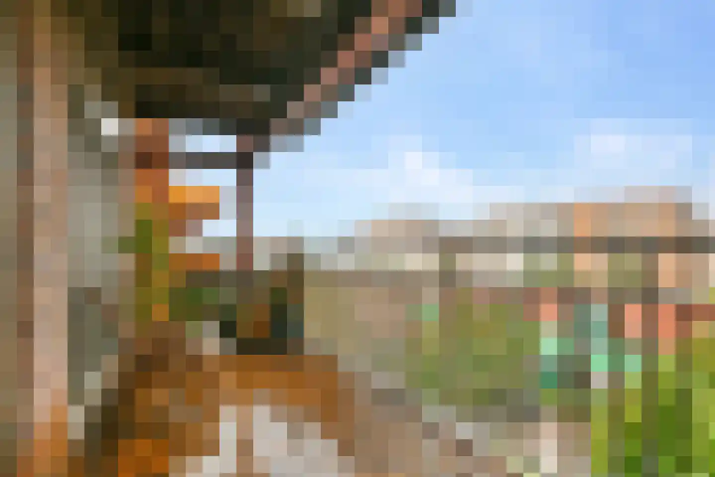Vurehout 353 Zaandam thumbnail 13