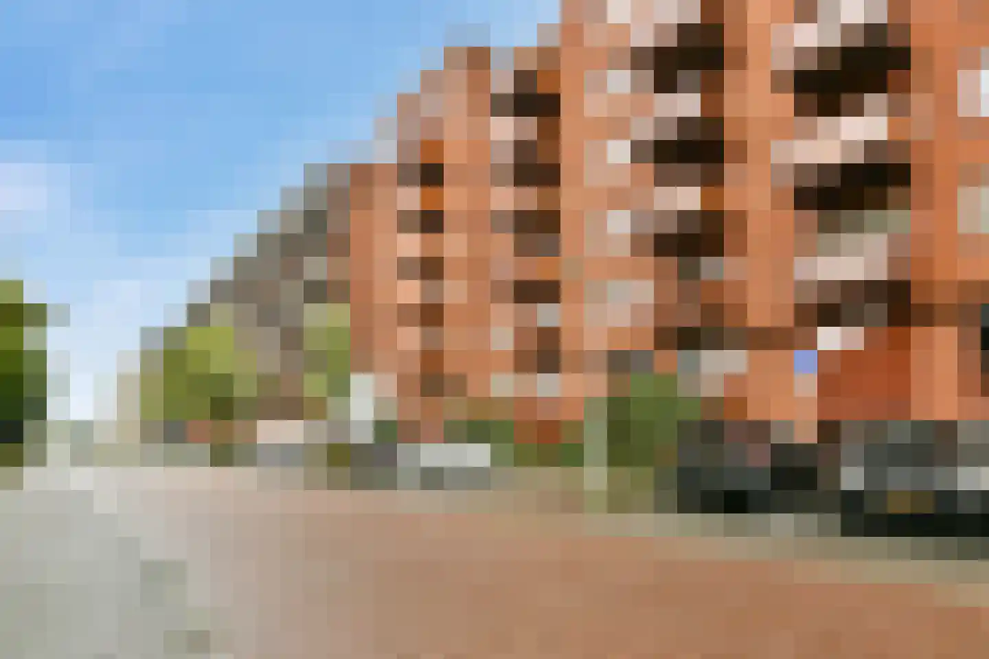 Vurehout 353 Zaandam thumbnail 6