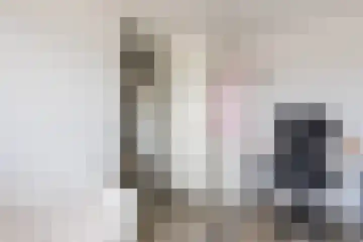 Vurehout 359 Zaandam thumbnail 25