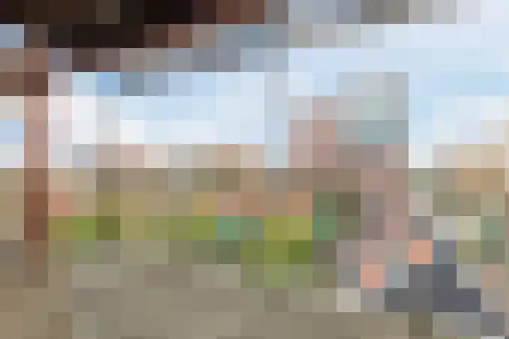 Vurehout 359 Zaandam thumbnail 34