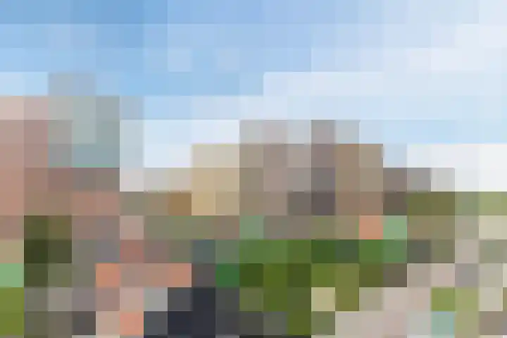 Vurehout 359 Zaandam thumbnail 37