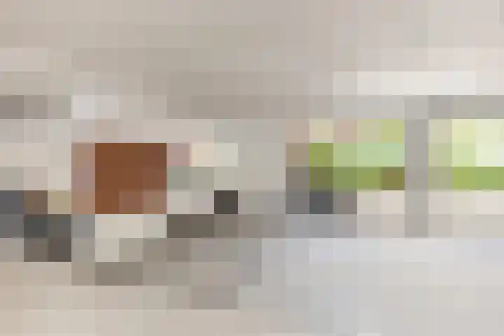 Vurehout 359 Zaandam thumbnail 40
