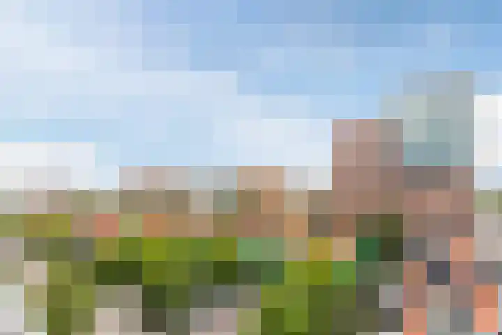 Vurehout 359 Zaandam thumbnail 5