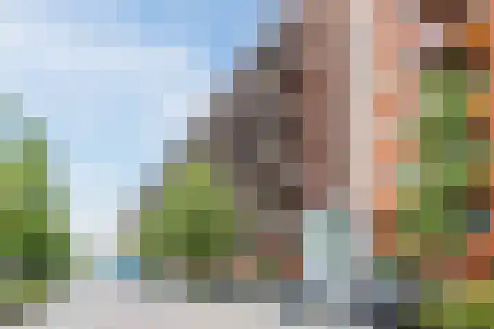 Vurehout 359 Zaandam thumbnail 6