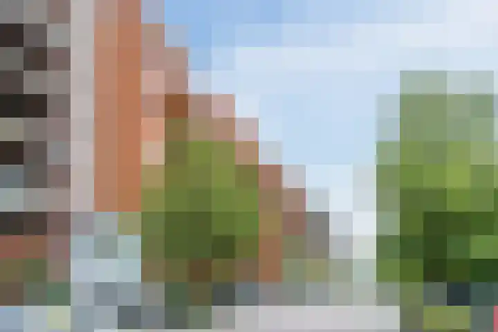 Vurehout 359 Zaandam thumbnail 7