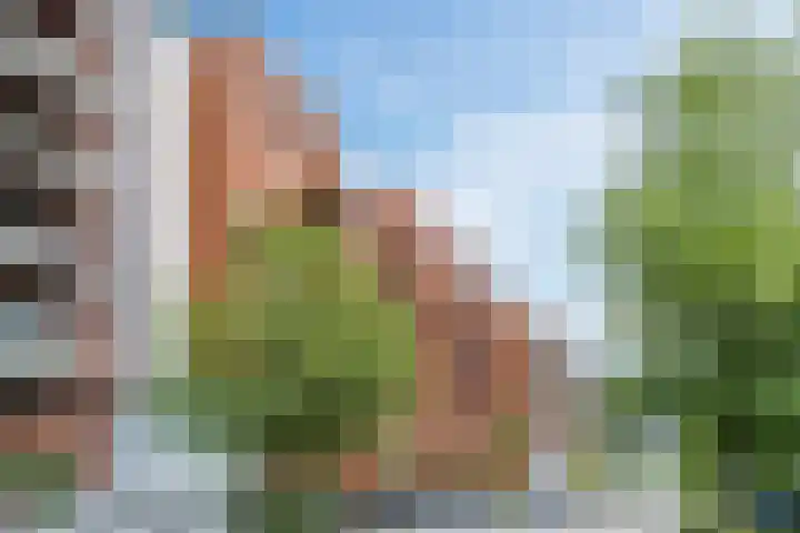 Vurehout 359 Zaandam thumbnail 8