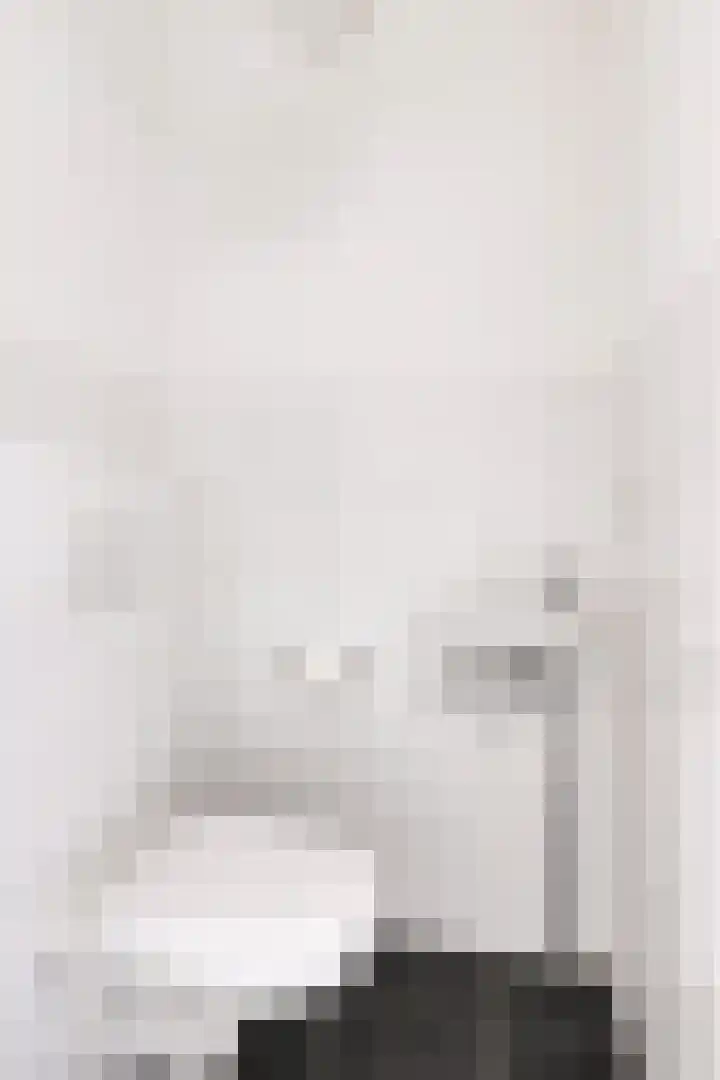 Vurehout 363 Zaandam thumbnail 14