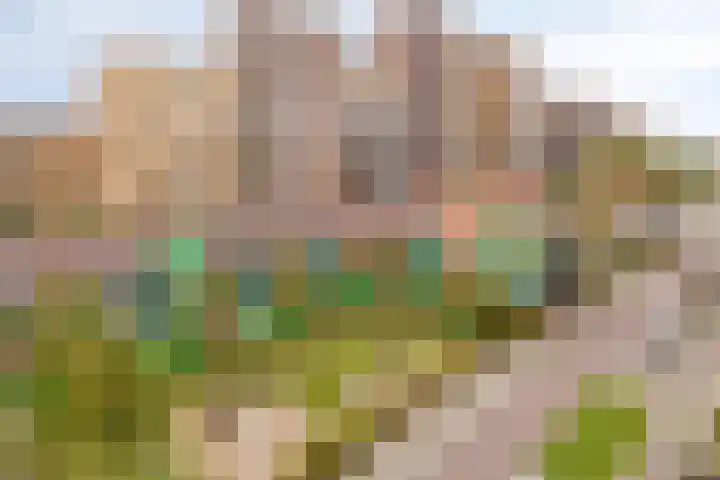 Vurehout 363 Zaandam thumbnail 28