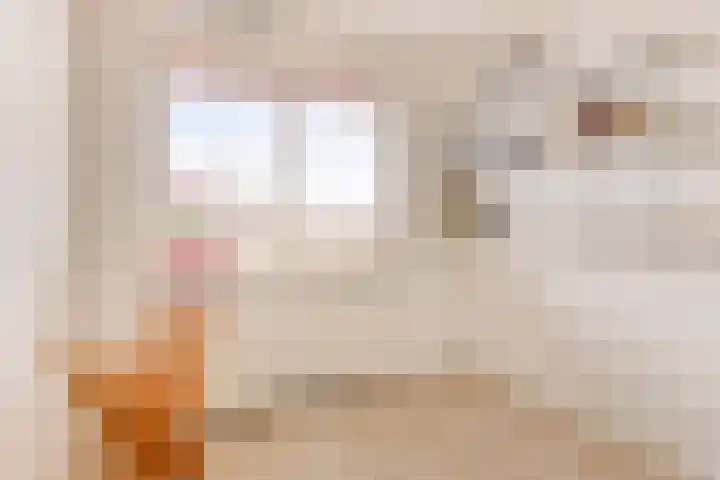 Vurehout 363 Zaandam thumbnail 33