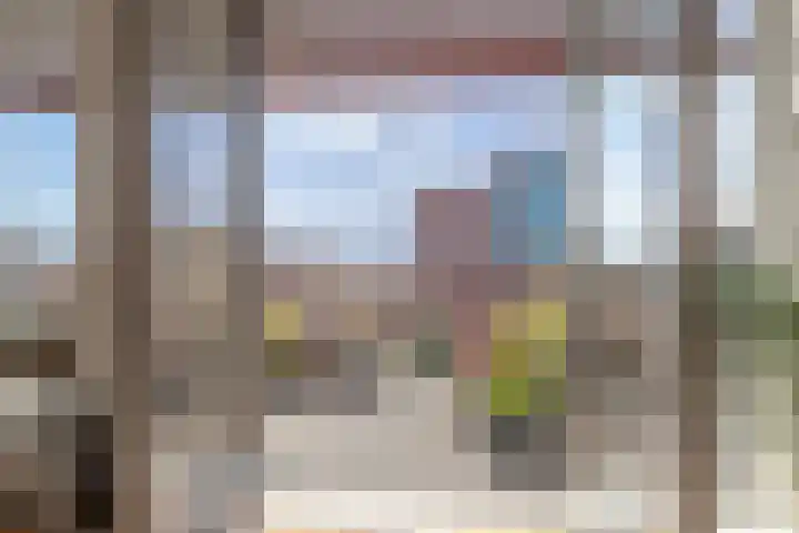 Vurehout 387 Zaandam thumbnail 10