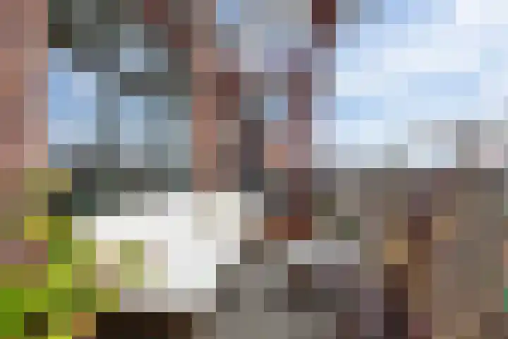 Vurehout 387 Zaandam thumbnail 11