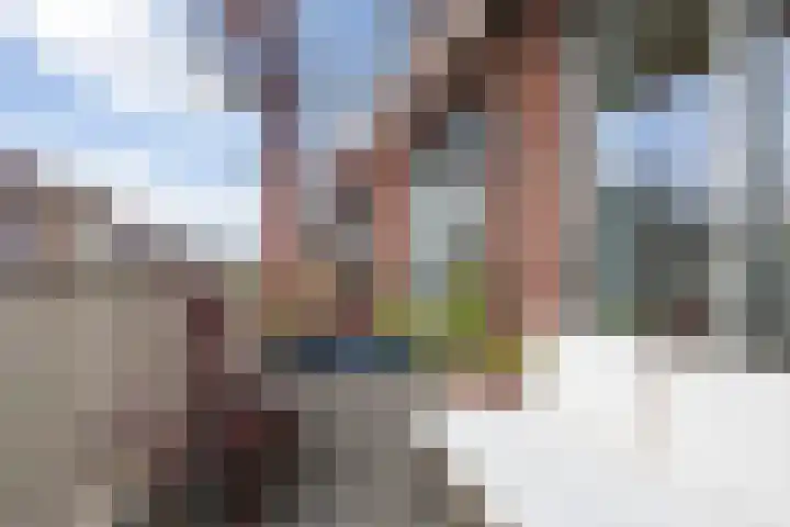 Vurehout 387 Zaandam thumbnail 12