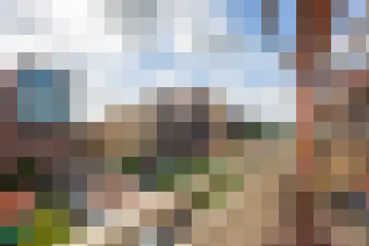Vurehout 387 Zaandam thumbnail 13