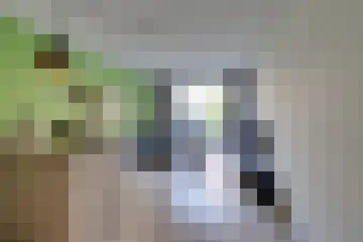 Vurehout 401 Zaandam thumbnail 13