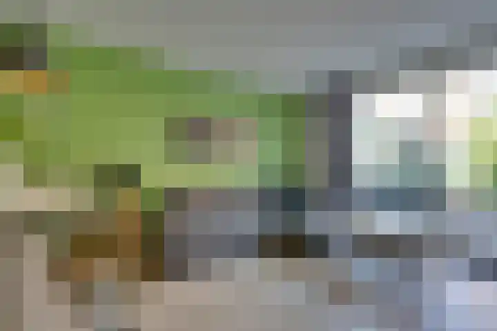 Vurehout 401 Zaandam thumbnail 15