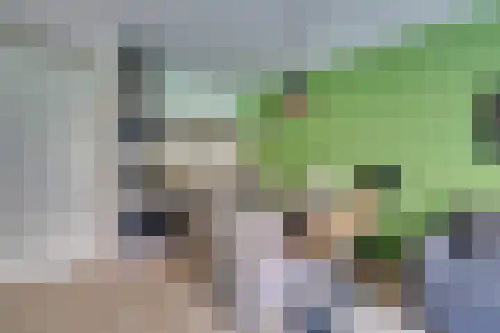 Vurehout 401 Zaandam thumbnail 21
