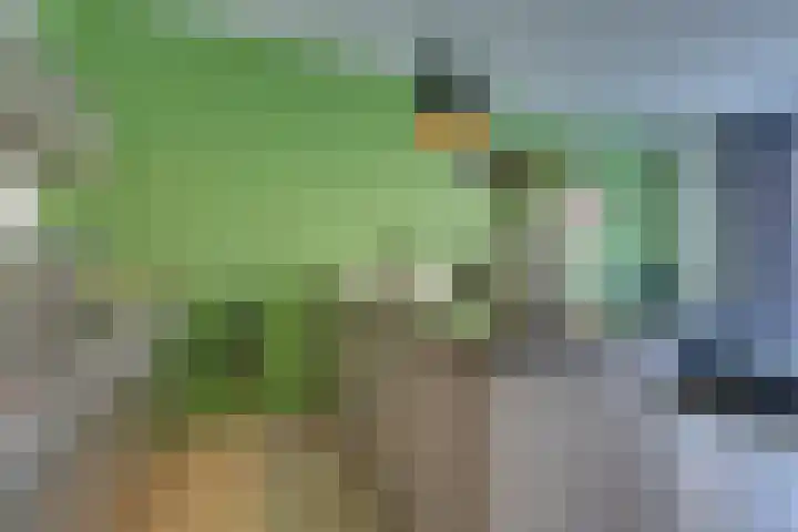 Vurehout 401 Zaandam thumbnail 24