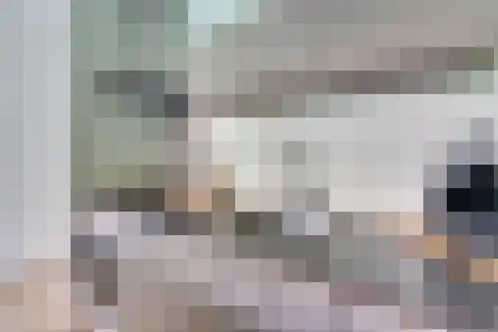 Vurehout 401 Zaandam thumbnail 25