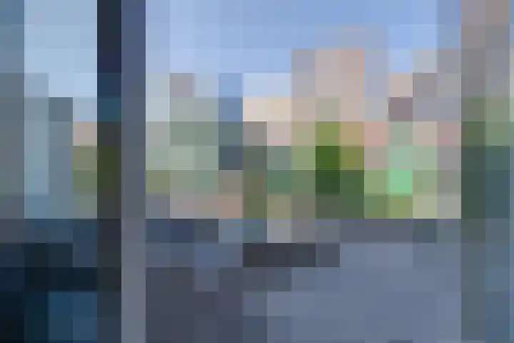 Vurehout 401 Zaandam thumbnail 27