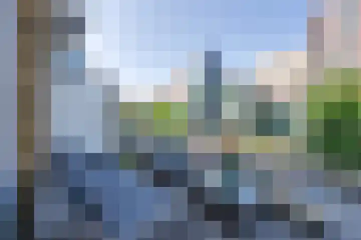 Vurehout 401 Zaandam thumbnail 28
