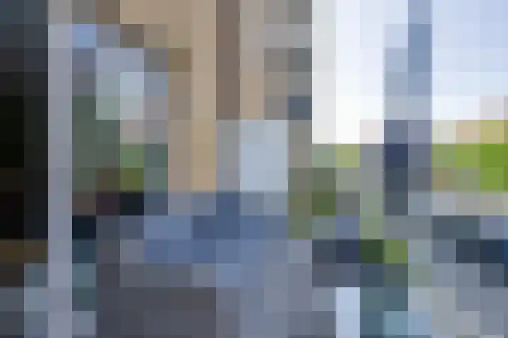 Vurehout 401 Zaandam thumbnail 29