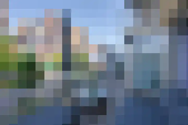 Vurehout 401 Zaandam thumbnail 30