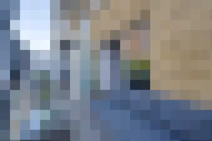 Vurehout 401 Zaandam thumbnail 31