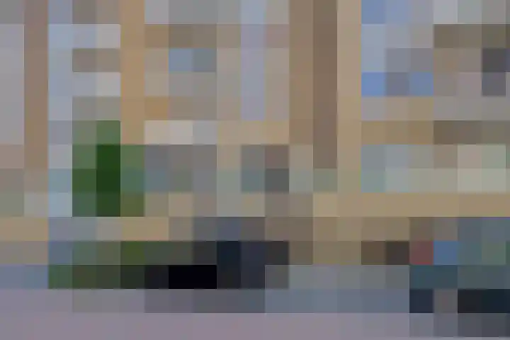 Vurehout 401 Zaandam thumbnail 4