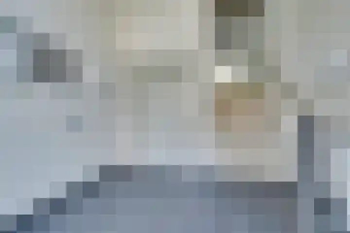 Vurehout 401 Zaandam thumbnail 9