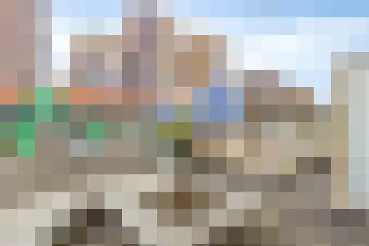 Vurehout 405 Zaandam thumbnail 16