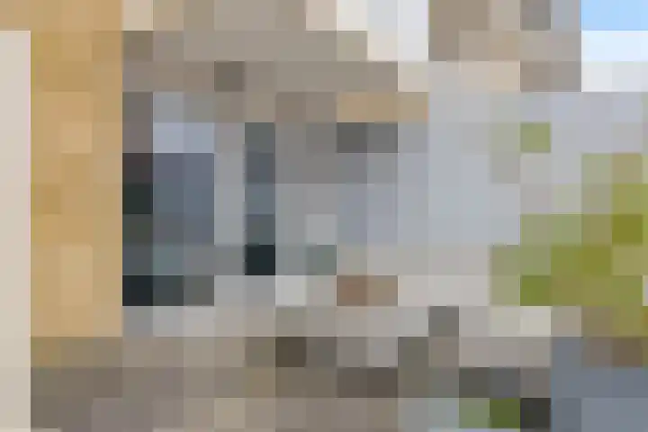 Vurehout 405 Zaandam thumbnail 19