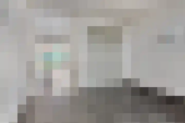 Vurehout 405 Zaandam thumbnail 20