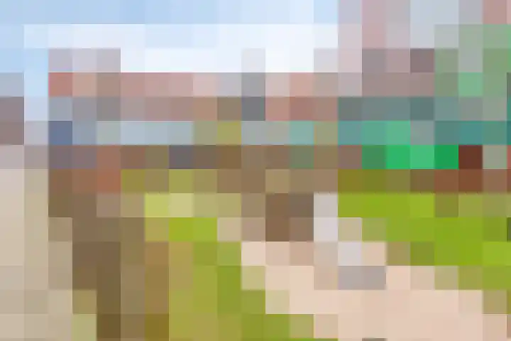 Vurehout 405 Zaandam thumbnail 23