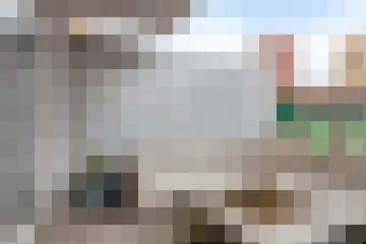 Vurehout 405 Zaandam thumbnail 6