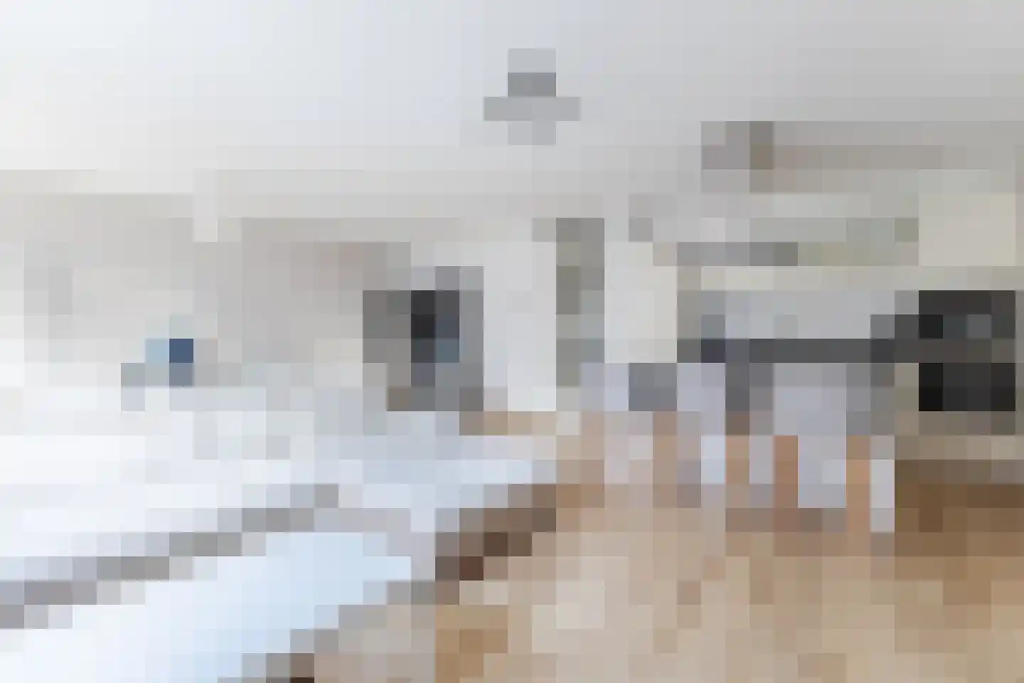 Vurehout 417 Zaandam thumbnail 13