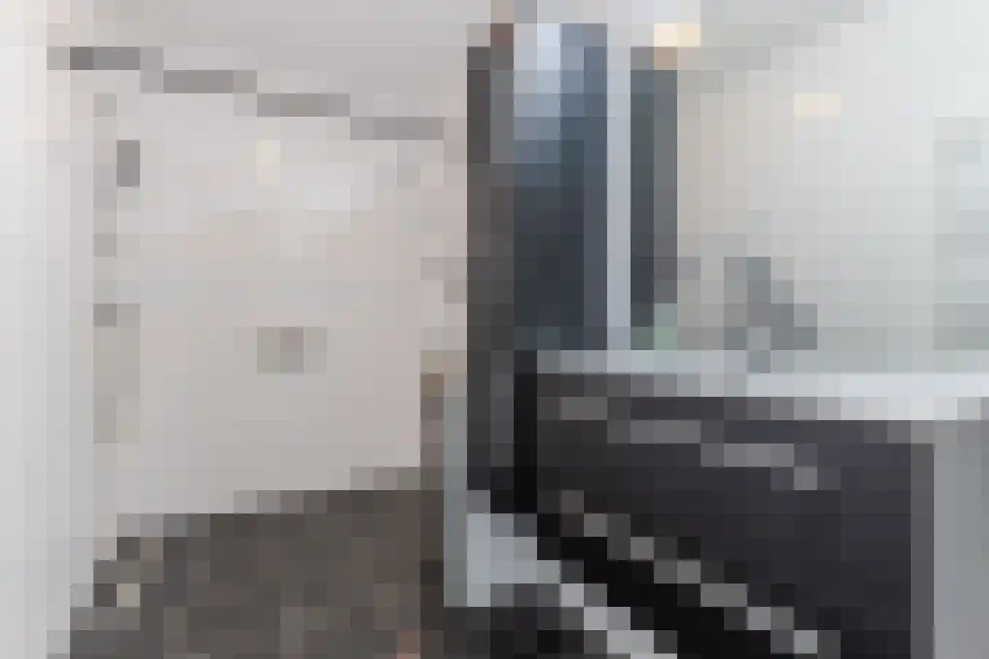 Vurehout 417 Zaandam thumbnail 25