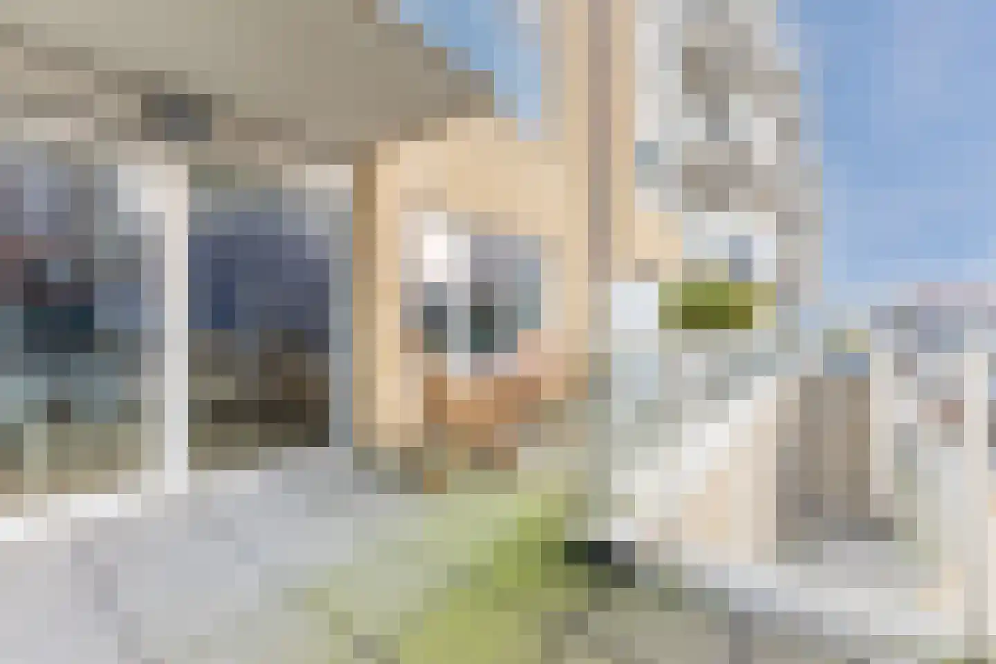 Vurehout 417 Zaandam thumbnail 29