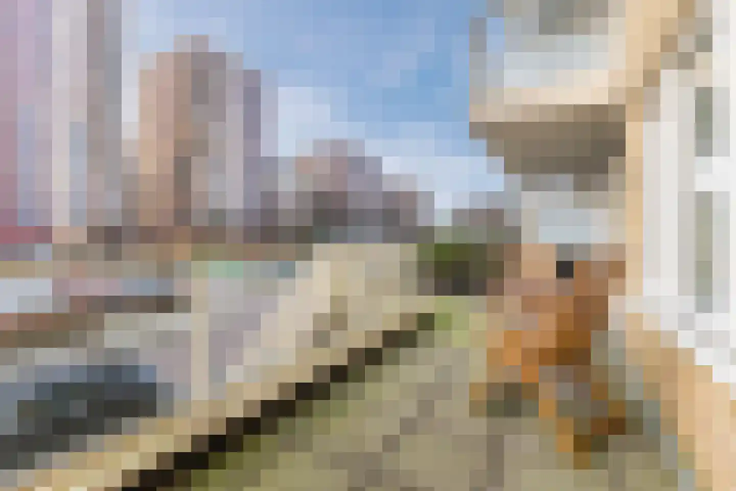 Vurehout 417 Zaandam thumbnail 30