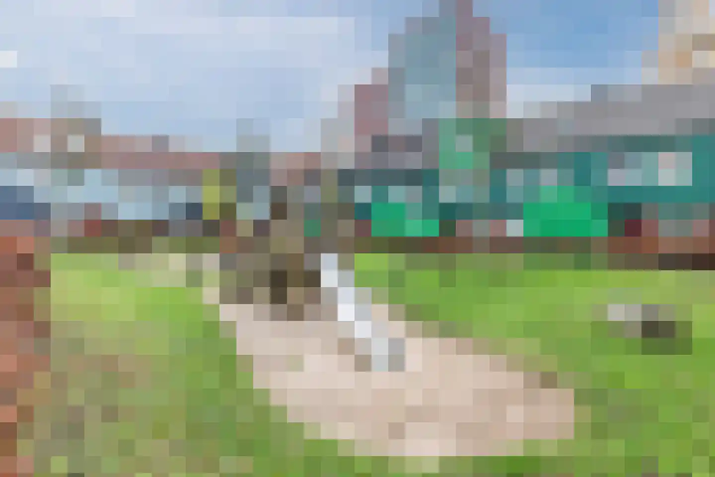 Vurehout 417 Zaandam thumbnail 39