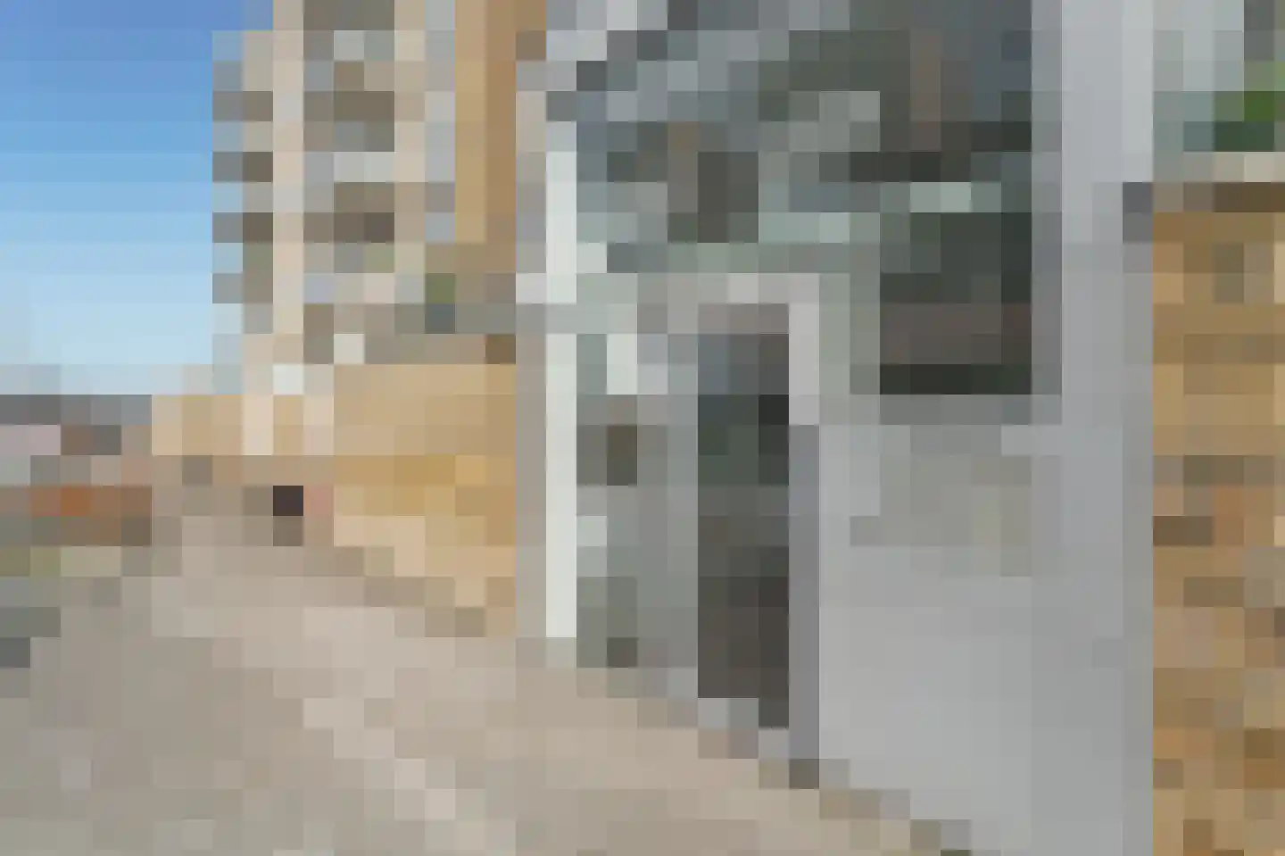 Vurehout 435 Zaandam thumbnail 32